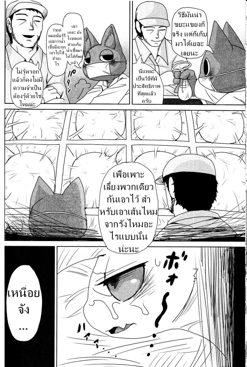 เรื่องของแมลง - หน้า 26