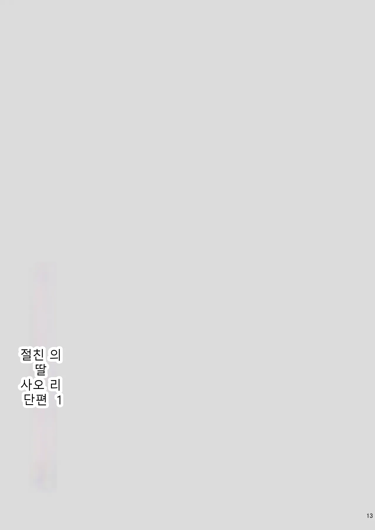หน้า 13