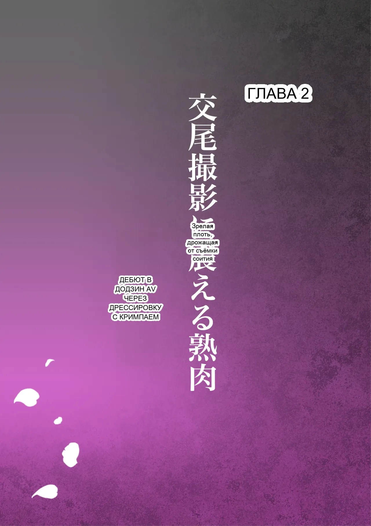 หน้า 46