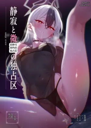 寂静与微热的独占区