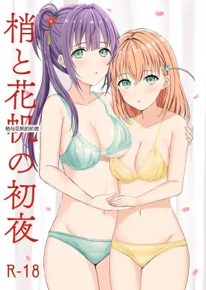 梢与花帆的初夜