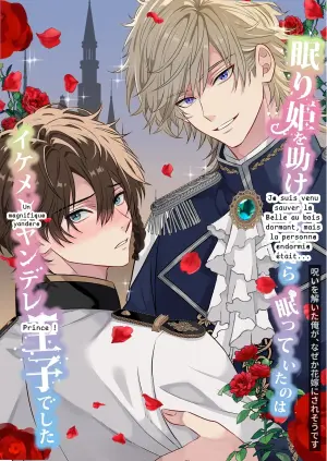 Je suis venu sauver la Belle au bois dormant, mais c'était un magnifique prince yandere !