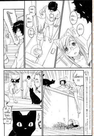เนเนะ นางแมวสาว 5