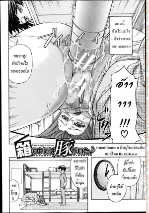 หมอแปลก - มีหมูในกล่องนั้น
