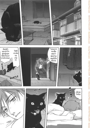 เป็นชั้นได้ซิน่ะ
