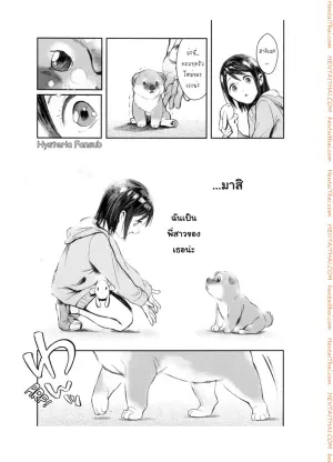 เจ้าหมาโง่ แกทำให้ฉันดูแย่