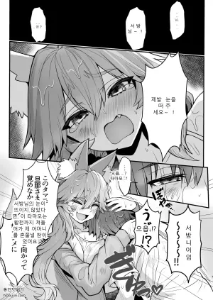 [Yamitsuki Honpo (Wise Speak)] Tamamo-san Nagasarate Mujintou - Tamamo-san, Swept-Away with Him  (Fate/Extra)