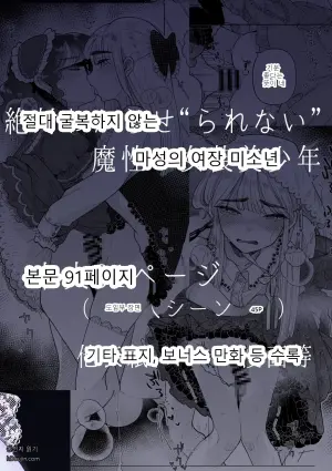 백일몽