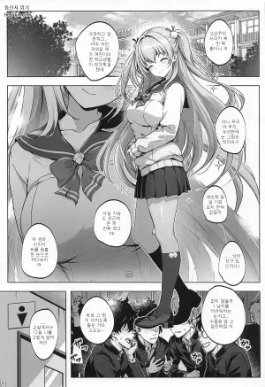 시리카의 비밀