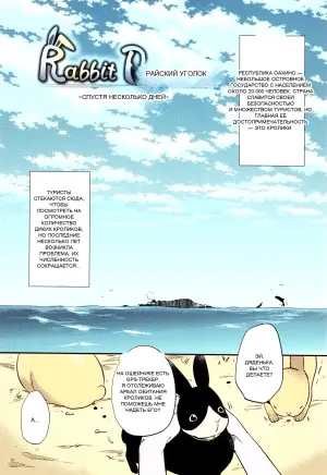 [Momoko] Rabbit Paradise ~afterdays~ + Afterdays+