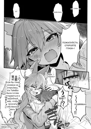 [Yamitsuki Honpo (Wise Speak)] Tamamo-san Nagasarate Mujintou - Tamamo-san, Swept-Away with Him  (Fate/Extra)