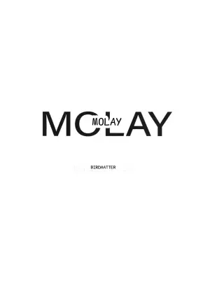 MOLAY: Intrusión en el Sueño (Fate/Grand Order)
