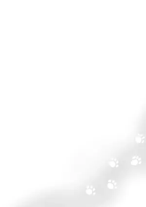 猫はマタタビの夢を見る (Zenless Zone Zero)